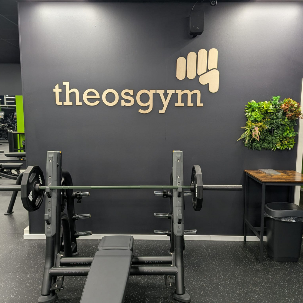 firmenschild buchstaben holz theos gym